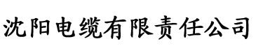 八戒八戒午夜电影电缆厂logo